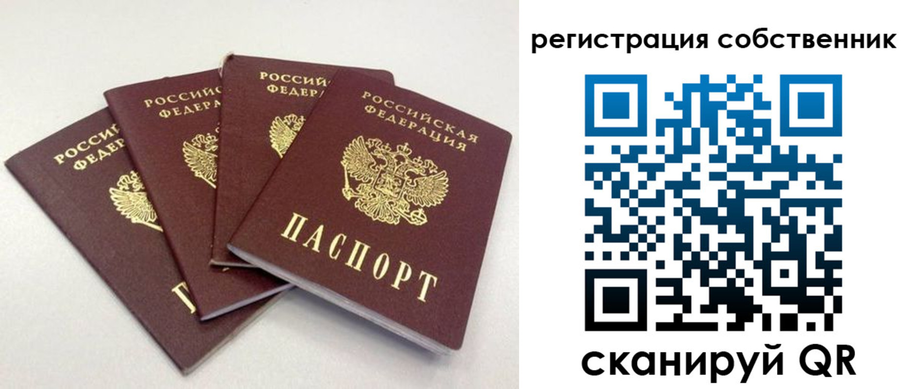 прописка для школы в Ефремове